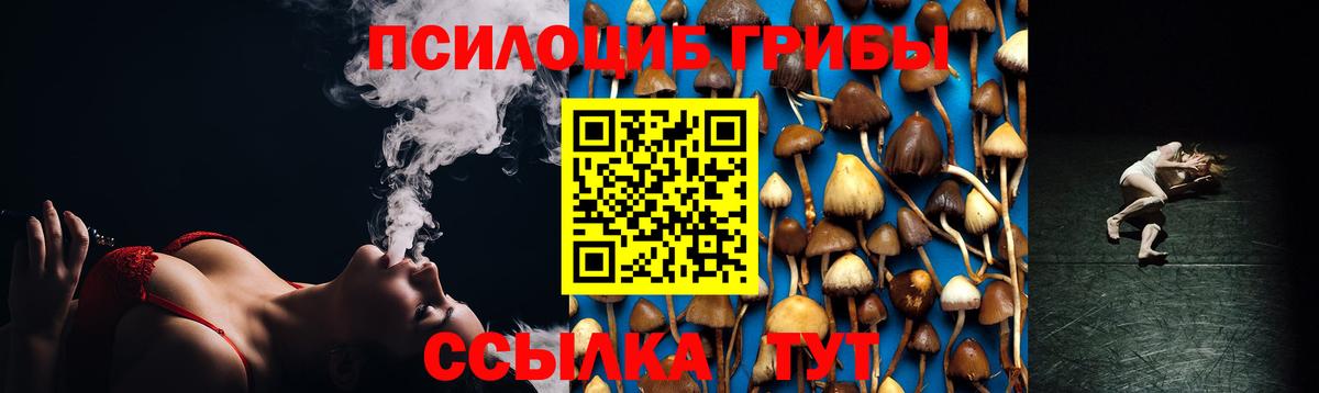 Галлюциногенные грибы мицелий Шахты
