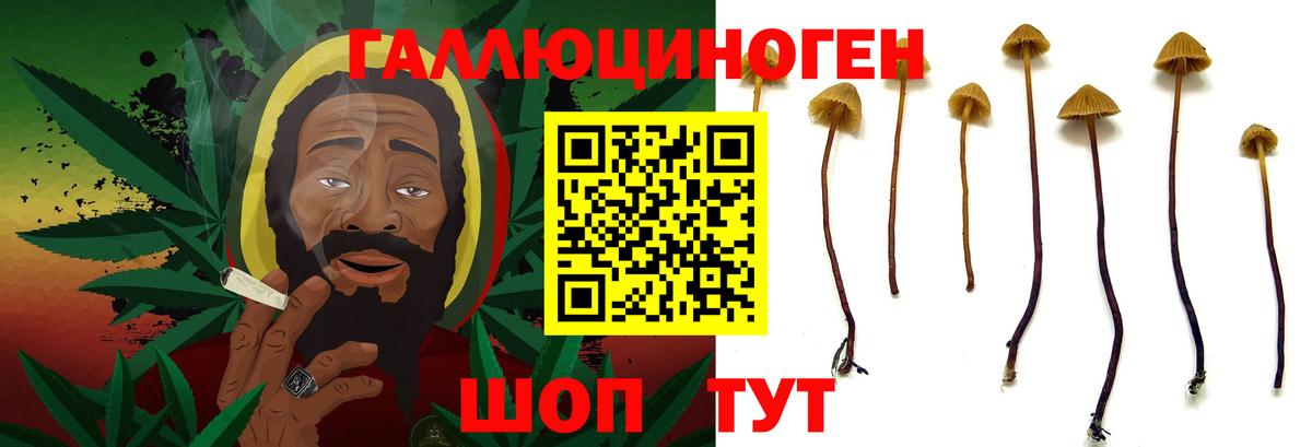 Псилоцибиновые грибы Psilocybe  Галлюциногенные грибы GOLDEN TEACHER  Вход с VPN  Шахты 
